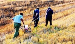 农民种地热点爆料视频,农民种地热点爆料视频揭秘